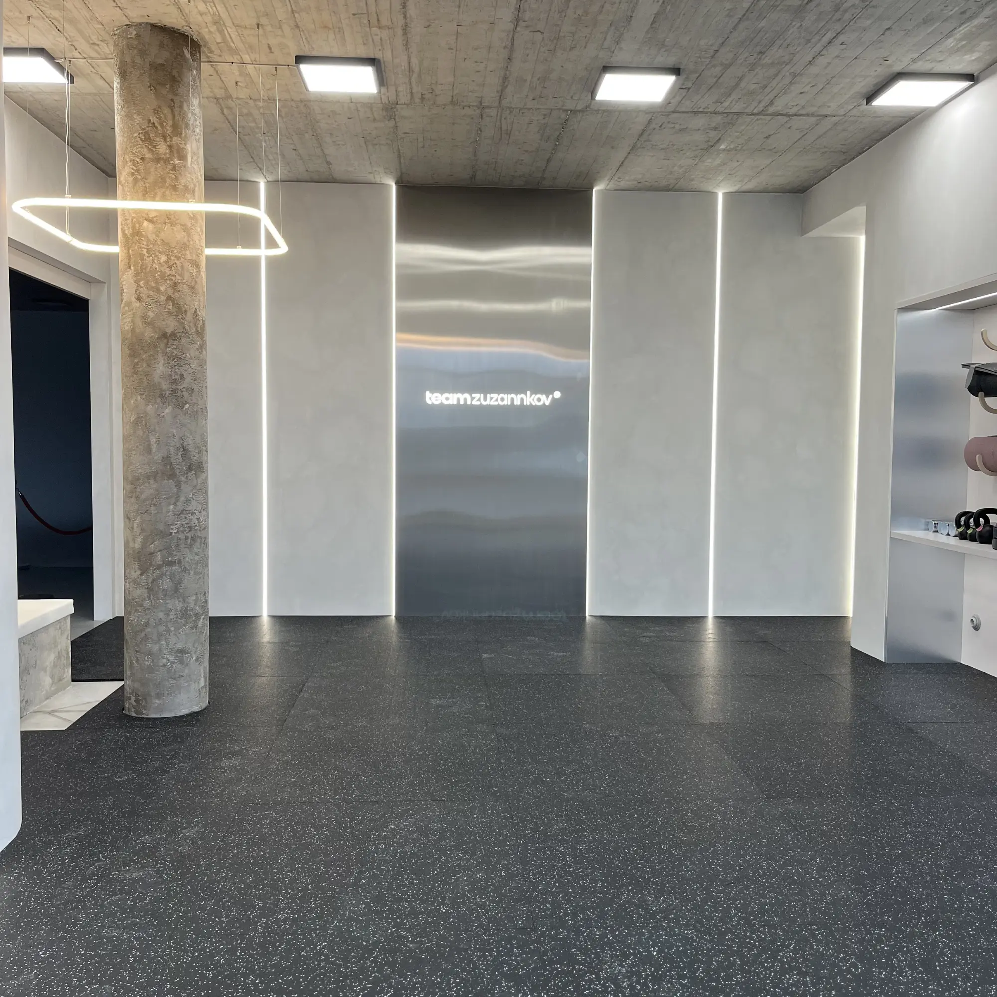 Realizacja TeamZuzannkov